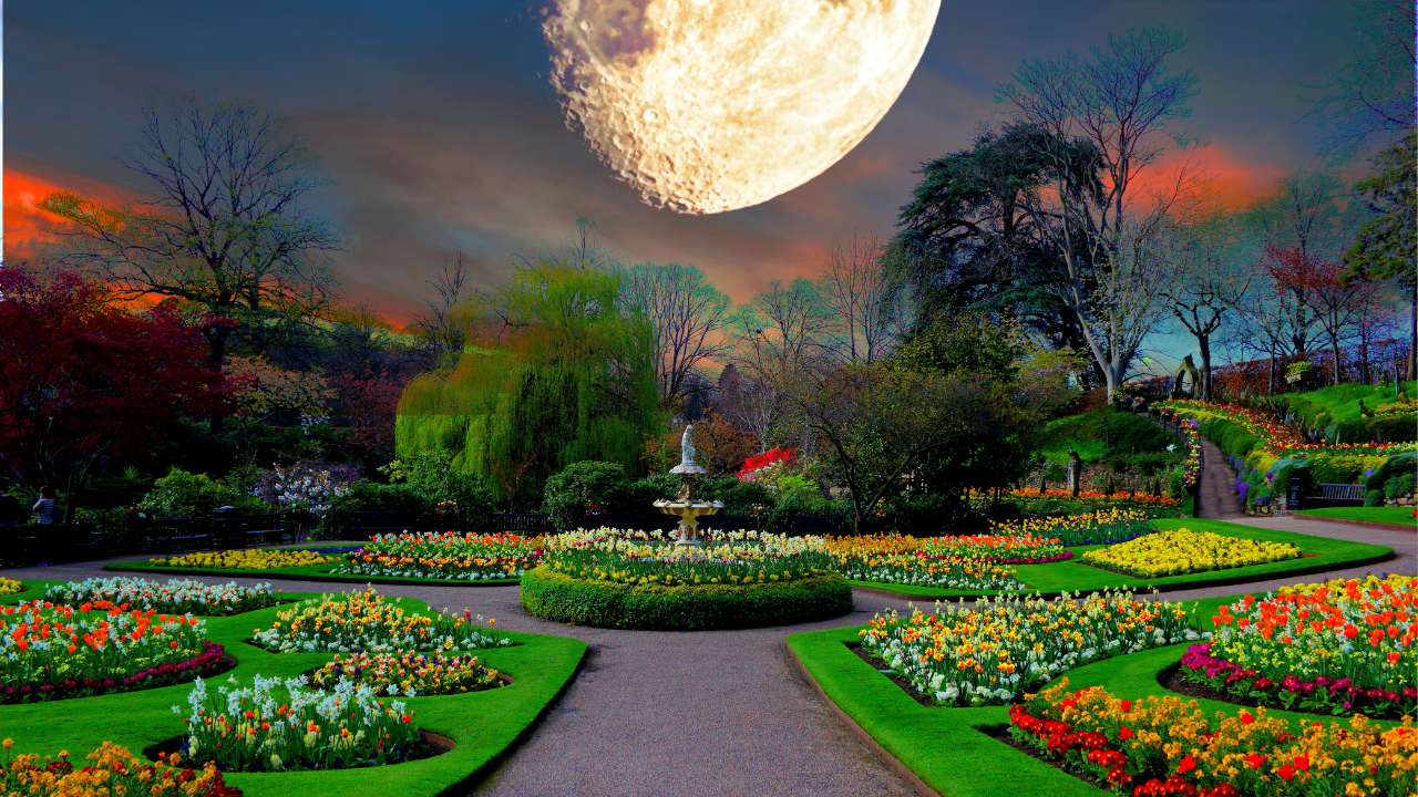 Flower Moon May 2024 Astrology News by Psychic Medium, Rose Burnett