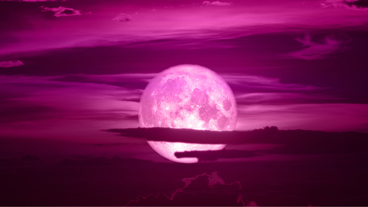 Pink Full Moon April 2024 Astrology News by Psychic Medium, Rose Burnett